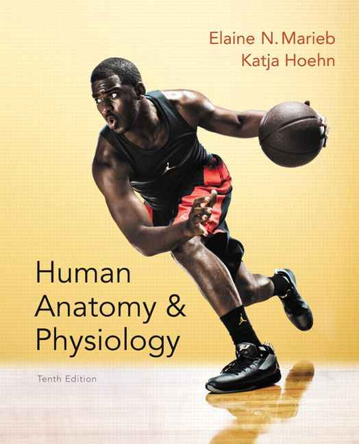 Human Anatomy And Physiology, 10th Edition