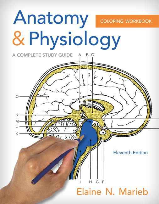 Anatomy And Physiology Coloring Workbook: A Complete Study Guide, 11th Edition