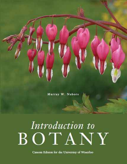 Introduction To Botany Custom Edition For Uw
