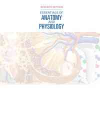 Essentials of Anatomy and Physiology, 7th