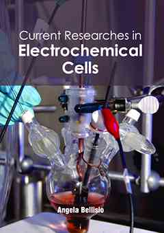 Current Researches in Electrochemical Cells
