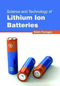Science and Technology of Lithium Ion Batteries