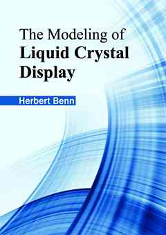 Modeling of Liquid Crystal Display