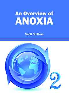 Overview of Anoxia