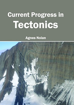 Current Progress in Tectonics