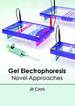 Gel Electrophoresis: Novel Approaches