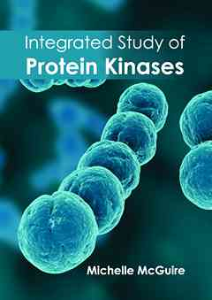 Integrated Study of Protein Kinases