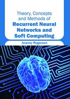 Theory, Concepts and Methods of Recurrent Neural Networks and Soft Computing