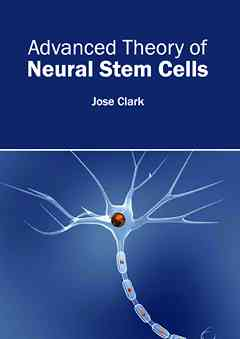 Advanced Theory of Neural Stem Cells