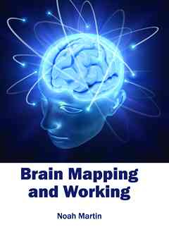Brain Mapping and Working