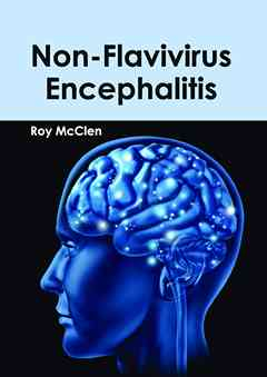 Non-Flavivirus Encephalitis
