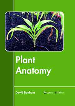 Plant Anatomy