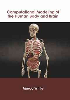 Computational Modeling of the Human Body and Brain