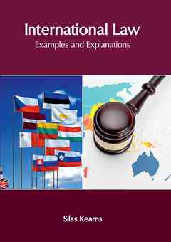 International Law: Examples and Explanations