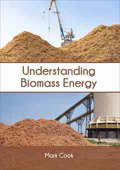 Understanding Biomass Energy