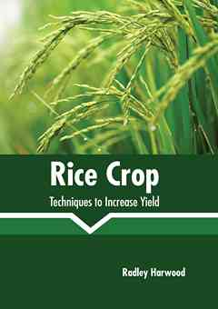 Rice Crop: Techniques to Increase Yield