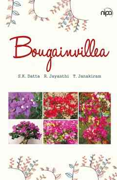 Bougainvillea