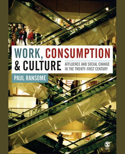 Work, Consumption and Culture: Affluence and Social Change in the Twenty-First Century, 1st Edition