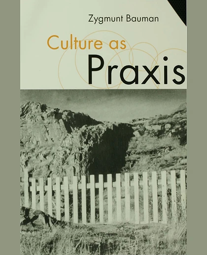 Culture as Praxis