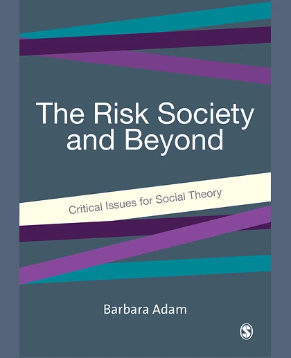 The Risk Society and Beyond: Critical Issues for Social Theory, 1st Edition