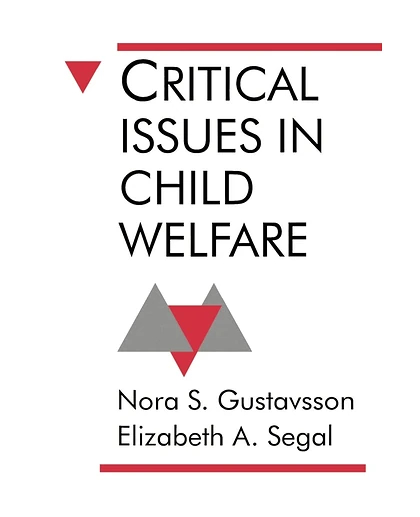 Critical Issues in Child Welfare, 1st Edition