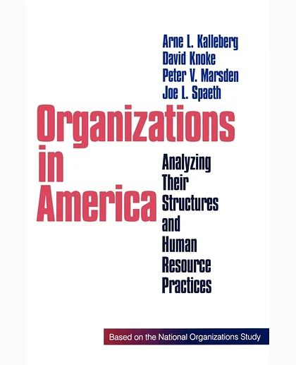Organizations in America: Analysing Their Structures and Human Resource Practices, 1st Edition