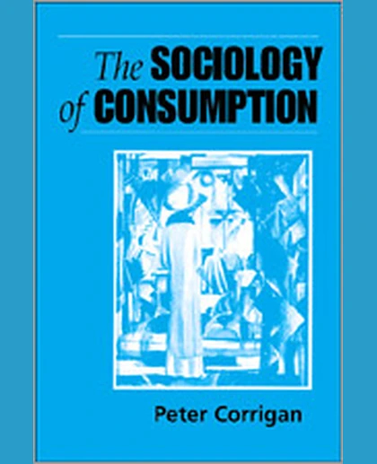 The Sociology of Consumption: An Introduction, 1st Edition
