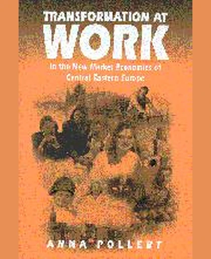 Transformation at Work: In the New Market Economies of Central Eastern Europe, 1st Edition