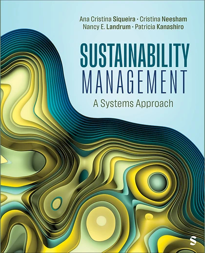 Sustainability Management: A Systems Approach, 1st Edition