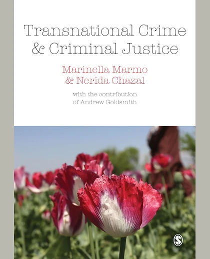 Transnational Crime and Criminal Justice
