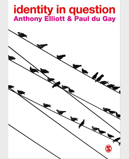 Identity in Question, 1st Edition