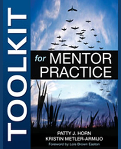 Toolkit for Mentor Practice, 1st Edition