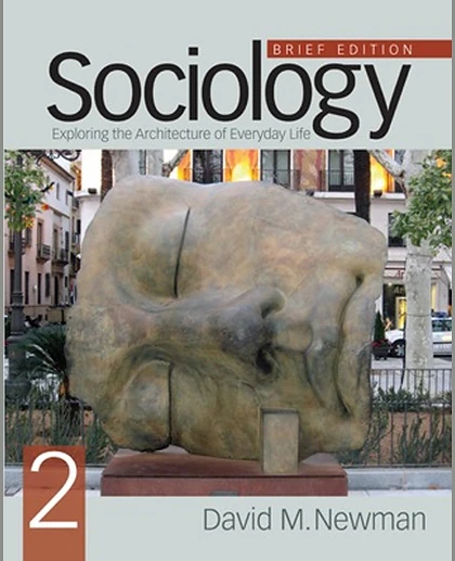 Sociology: Exploring the Architecture of Everyday Life, Brief Edition