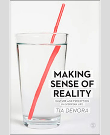 Making Sense of Reality: Culture and Perception in Everyday Life, 1st Edition