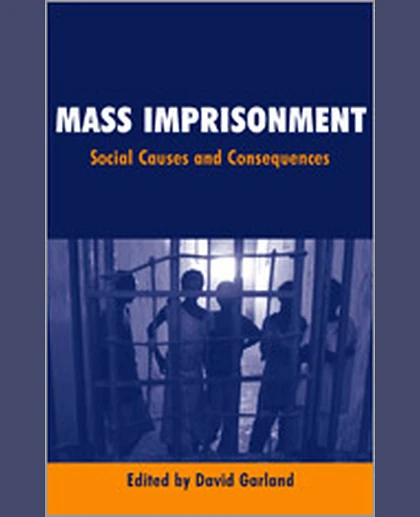 Mass Imprisonment: Social Causes and Consequences, 1st Edition