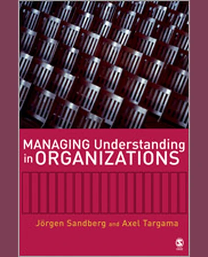 Managing Understanding in Organizations, 1st Edition