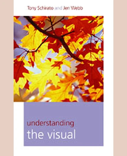 Understanding the Visual, 1st Edition
