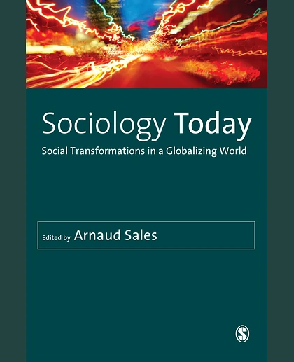 Sociology Today: Social Transformations in a Globalizing World, 1st Edition