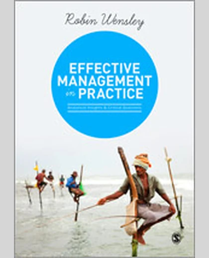 Effective Management in Practice: Analytical Insights and Critical Questions, 1st Edition