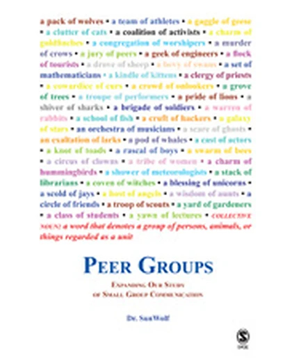 Peer Groups: Expanding Our Study of Small Group Communication, 1st Edition