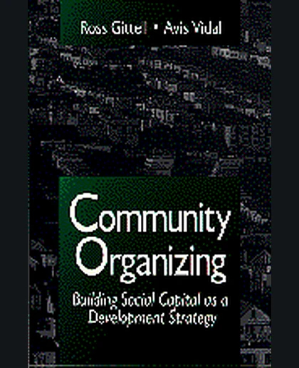 Community Organizing: Building Social Capital as a Development Strategy, 1st Edition
