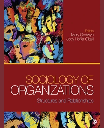 Sociology of Organizations: Structures and Relationships, 1st Edition