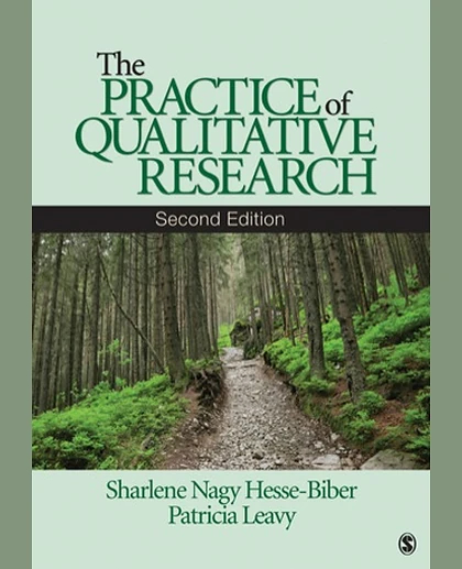 The Practice of Qualitative Research, 2nd Edition