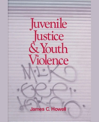 Juvenile Justice and Youth Violence, 1st Edition