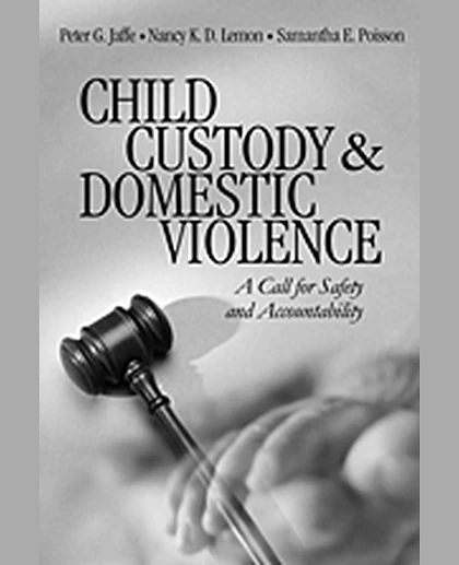 Child Custody and Domestic Violence: A Call for Safety and Accountability, 1st Edition