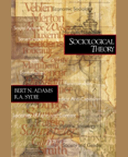 Sociological Theory, 1st Edition