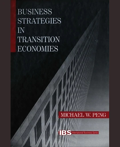 Business Strategies in Transition Economies, 1st Edition