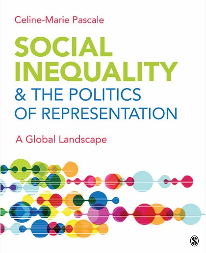 Social Inequality & The Politics of Representation: A Global Landscape, 1st Edition