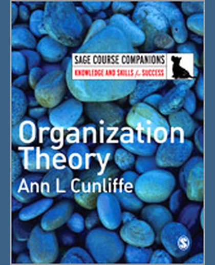 Organization Theory, 1st Edition