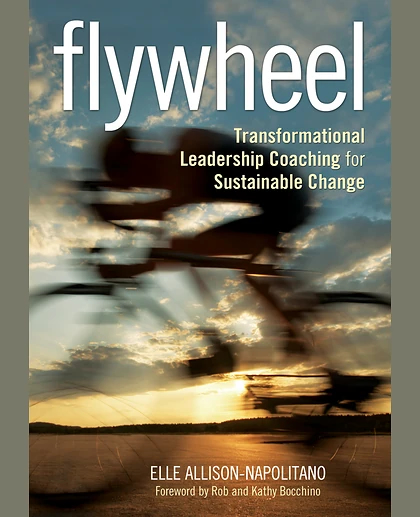 Flywheel: Transformational Leadership Coaching for Sustainable Change, 1st Edition